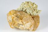 Lustrous,  Yellow Apatite Crystal on Calcite - Morocco #185471-2